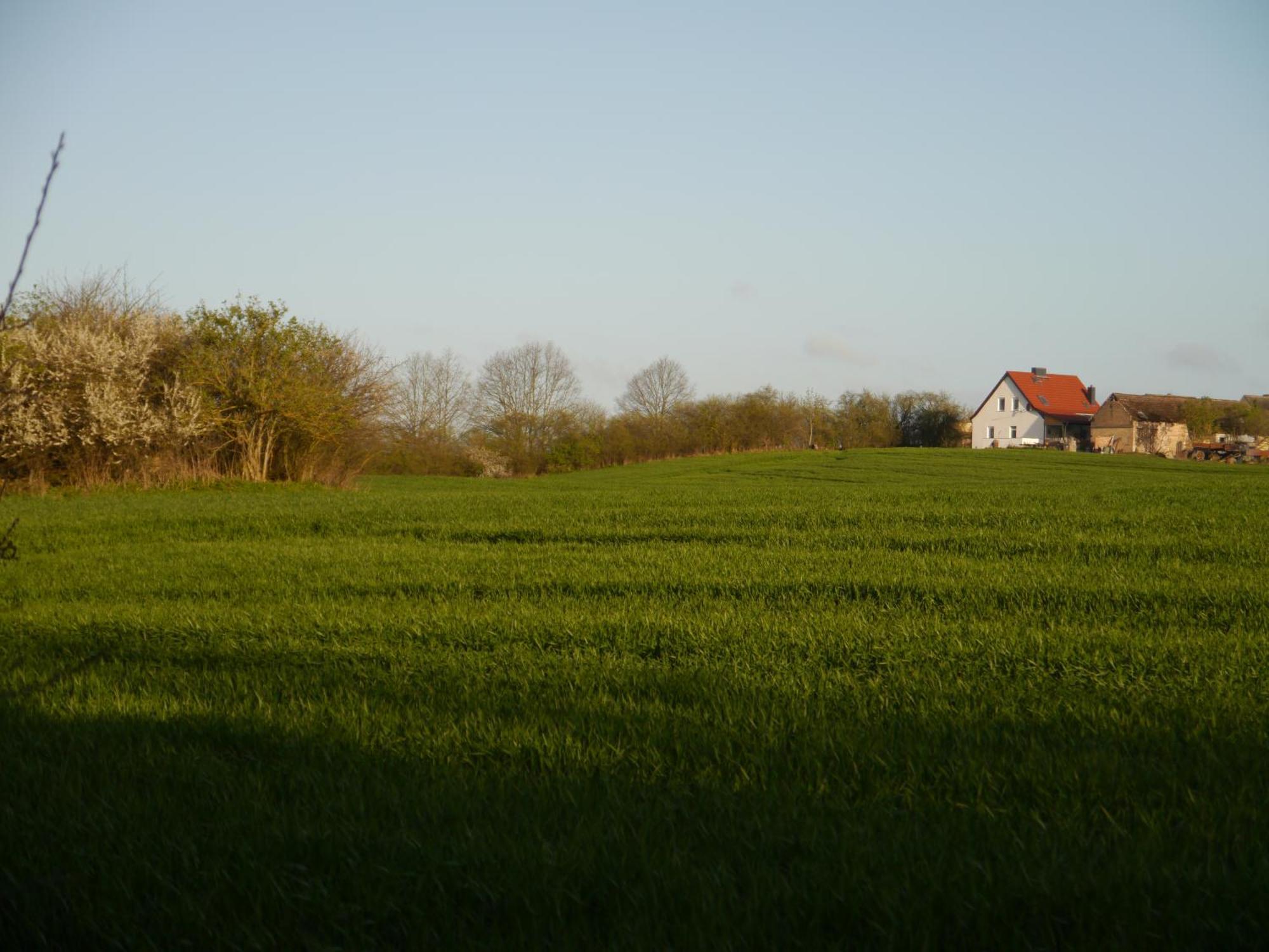 Ferienhaus-Uckermarkblick Rosenow  Eksteriør bilde