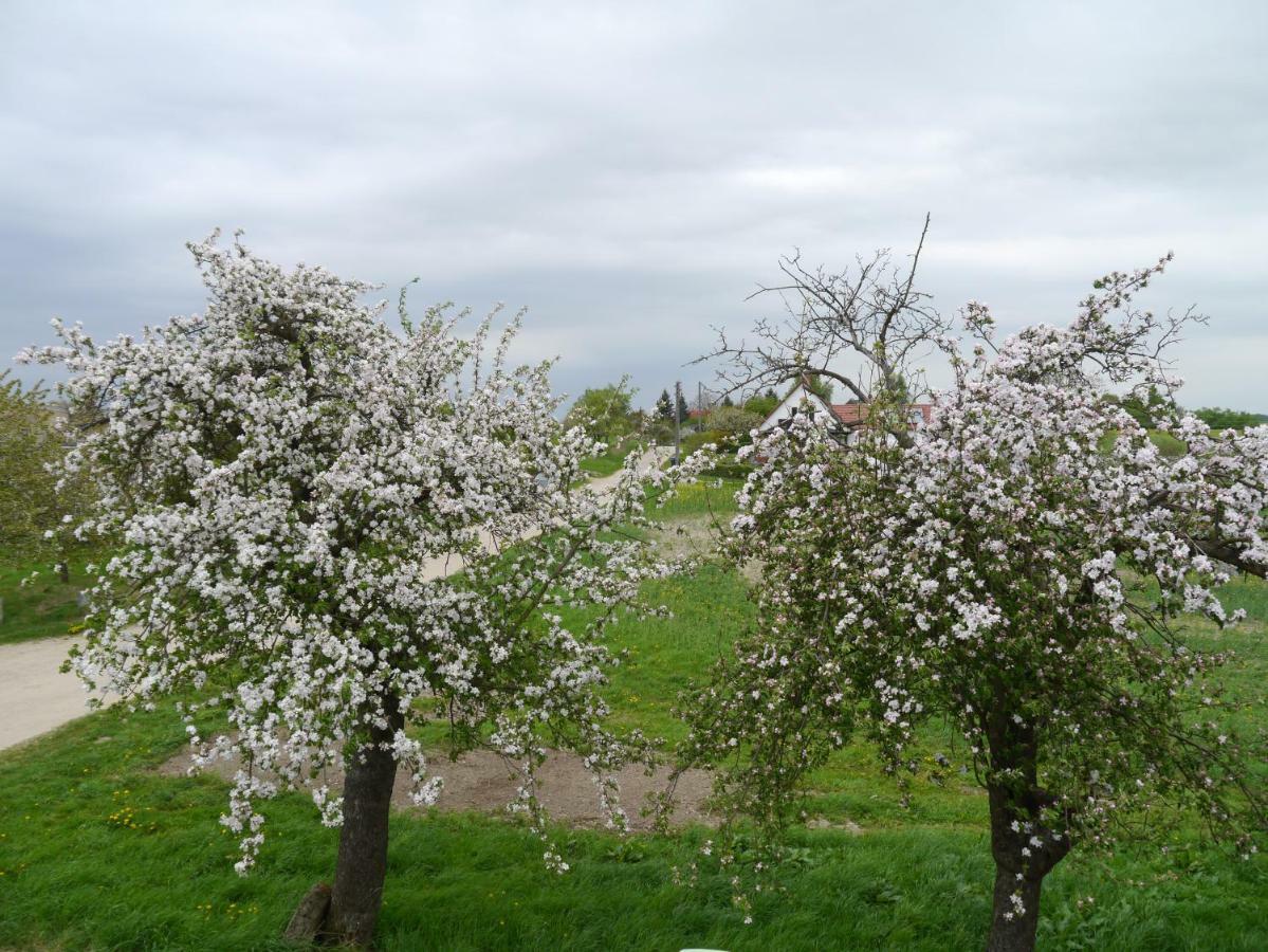 Ferienhaus-Uckermarkblick Rosenow  Eksteriør bilde